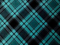 'NUGGLEBUDDY NEW! Microwavable Moist Heat & Aromatherapy Organic Rice Pack. Beautiful Teal Plaid Flannel. UNSCENTED!