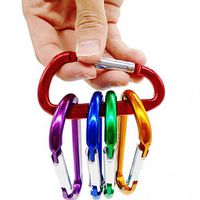 ❤️Jonerytime❤️5PCS Carabiner Keychain Aluminum D Shape Buckle Pack Spring Loaded for Camping Traveling Fishing Hiking