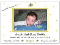 Cute As Can Bee Birth Announcements - Set of 20