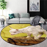 RUGSMAT Goat Round Rugs for Bedroom,Baby Animal with Hay Crate Non-Skid Bath Mat Living Room/Bedroom Carpet Round-59