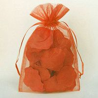 Sheer Organza Pouch Bag, 144-pack (6" x 9", Coral)