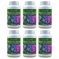TruNature Ginkgo Biloba 120 mg - 300 softgels (Pack of 6)