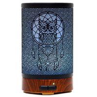 Ultrasonic Cool Mist Aromatherapy Diffuser Atomiser 100ml Metal Aroma Essential Oil Humidifier with Waterless Auto Shut-Off Protection,7 Colors Changed LED for Home Office SPA (Owl)