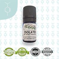 FOGG ISOLATES Alpha Phellandrene (5ml)