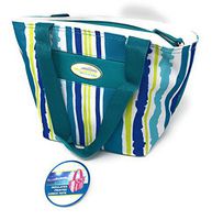 Insulated Printed LunchBag/Tote | Arizona Blue Artic Pak | 12 in X 8in
