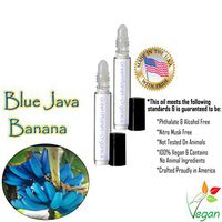 Set of 2: Blue Java Bananas Fragrance Oil (Made in USA & Vegan)