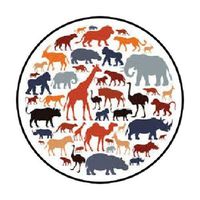 HotSaleStore Sticker Seals 48 African Animals Wildlife !!! Sticker Label Envelope Seals 1.2" Round
