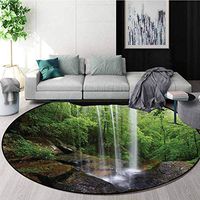 DESPKON-HOME Natural Cave Super Soft Circle Rugs for Girls,Still Waterfall in The Forest in Northern Alabama Habitat Ecosystem Scenery Baby Room Decor Round Carpets Round-63 Inch,Green Brown