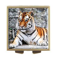 Glasscase The Tiger Custom Bronze Stainless Steel Square Pill Case Medicine Vitamin Organizer Holder Case