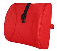 Moyishi High Resilient Memory Foam 3D Ventilative Mesh Lumbar Support Cushion/Back Cushion/Support Cushion (Red)