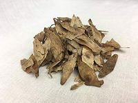 凤眼草 | Tree-of-heaven Leaves