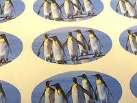 Minilabel Pack Of 30 , Penguin Seals , 51X25mm Oval Seal Labels, Stickers For Gift Wrapping, Presents, Envelopes, Bags Or Cards