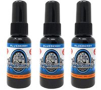 BluntPower Oil Based Concentrated Air Freshener and Oil for Diffuser - 3 Pack of Blueberry (1.5 Ounce Each)