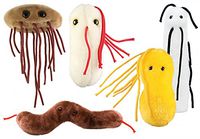GIANTmicrobes Gut Check Pack