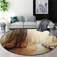 RUGSMAT Landscape Warm Soft Cotton Luxury Plush Baby Rugs,Forest with Serene Giant Tree Body in The Foggy Forest Yosemite Mist Woodland Print Kids Teepee Tent Game Play House Round,Diameter-47 Inch