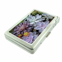 Cactus Desert Plant D8 Cigarette Case Lighter Smoking King Size Cigarettes Silver Metal Wallet 4" X 2.75" RFID Protection