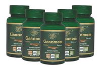 Herbo Natural Ayurvedic Cinnamon Extract 500 Mg 60 Veg Capsules,0 Capsules, GMP Certified (Pack of 5)
