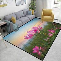 YucouHome Lotus Striped Bath Mats for Floors, Beautiful Flower Blooming in Spring Meadow Natural Zen Garden, Fashionable High Class Living Dinning Room(2'x 6') Pale Pink Green Pale Blue