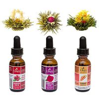 Healthy Gift Set, Cold Pressed Natural Seed Oil 30 ml and Organic Flowering Tea Bloom, Great Gift Idea (Gift Set | Cranberry, Camellia, Carrot Seed Oil)