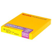Kodak 880 6465 Portra 400 Professional ISO 400, 4 x 5 Inches, 10 Sheets, Color Negative Film (Yellow)