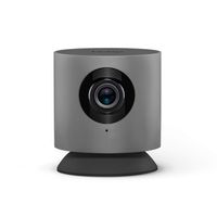 Hoop Cam Smart AI Home Wireless Indoor Camera: More Than A Security Camera - Recognizes You & Members of Your Household - Advanced Relevant Notifications + Face, Time & Routine Based (Grey)