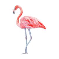 Watercolor Painted Pink Flamingo - for Car, Macbook, or Other Laptop 5" Vinyl Decal
