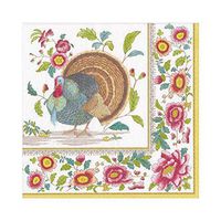 Caspari Thanksgiving Setting Paper Luncheon Napkins, 20 Per Package