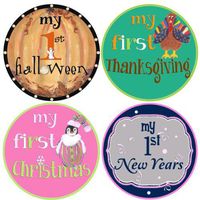 Mumsy Goose Baby Girl Milestone Stickers First Holidays