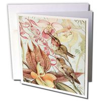 3dRose Catasetum and Cypridediums by Edward J Detmold Orchid and Hummingbirds Greeting Cards, Set of 12 (gc_126456_2)