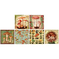 Decorative Vintage Mushrooms Set of 6 Square Box Candle and Fireplace Wood Matches 2.25x2.25x.75