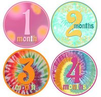 Mumsy Goose Baby Girl Stickers Monthly Age Stickers 1-12 Months