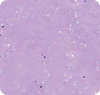 Jillson Roberts Bulk 20 x 30 Inches Gemstone Tissue Available in 11 Colors, Lavender, 200 Unfolded Sheets (BGS04)