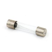 Baomain Fast Blow Glass Fuse Tube 6x30mm 2A 250V 2Amp 20 Pack