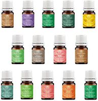 Essential Oil Set -14 Pack -100% Pure Natural Therapeutic Grade Oils Lot 5 ml.