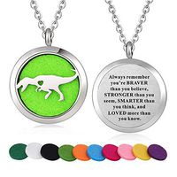 WPFdesign Stainless Steel Tyrannosaurus Rex Dinosaur Animal Aroma Therapy Aromatherapy Essential Oil Diffuser Locket Necklace Pendant (Style 27)