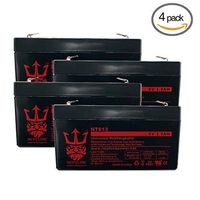 Neptune 6V 1.2Ah / 1.3Ah / 1.4Ah NT-613 Rechargeable SLA Sealed Lead Acid Battery - 4 Pack