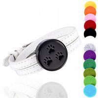 memorial jewelry Paw Engraved Essential Oil and Perfume Diffuser Locket Bracelet, Aromatherapy Bangle 12 Color Pads
