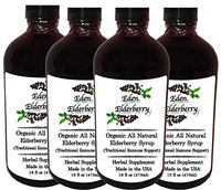 Eden Elderberry All Natural Syrup ~ Made with Raw Honey, Organic Elderberries and Spices ~ Packaged in an Amber Glass Bottle (Elderberry Syrup 16oz 4 Pack)