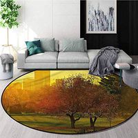 RUGSMAT Nature Computer Chair Floor Mat,Sunset Over City Park Baby Room Decor Round Carpets Diameter-39