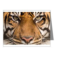 Note Card Sumatran Tiger Face