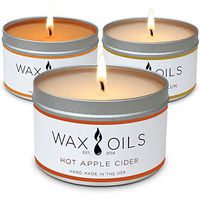 Wax and Oils Soy Wax Aromatherapy Scented Candles (Hot Apple Cider, Pumpkin, Black Amber Plum) 8 Ounces. 3 Pack
