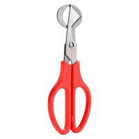  AIUSD Clearance , Pigeon Quail Egg Scissors Cracker Opener Cigar Cutter Stainless Steel Tool
