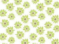 Green Painted Daisies Daisy Flowers Tissue Paper Gift Wrapping 20"x30" Sheets - 50ct