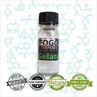 FOGG TERPENES Gelato (1 ml)