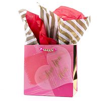 Hallmark Mahogany 5VXS1715 Bag with Tissue, Medium Love on Heart