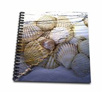 3dRose db_59960_1 Shells at The Shore-Ocean-Beach-Drawing Book, 8 by 8-Inch