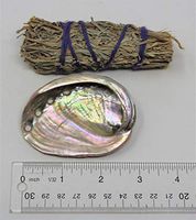 1 Pc of Small Abalone Shell and Desert Sage Smudge (House Cleansing Negativity Removal)