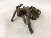 红大戟 | Knoxia Root