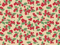 5ct Red Bird Berries on Kraft Brown Tissue Paper for Gift Wrapping 20"x30" Sheets nfLG -985