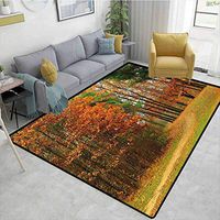 Fall Decor Humorous Area Rug Kitchen, Cloudy Overcast Day in September Shrubs Pines Sidewalk in Park Forest, Durable Carpet Area rug - Living Dinning Room Bedroom Rugs and Carpets(8'x 10')
